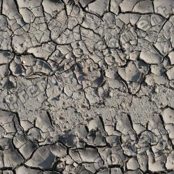 Seamless Textures of Soil & Normal Mapping